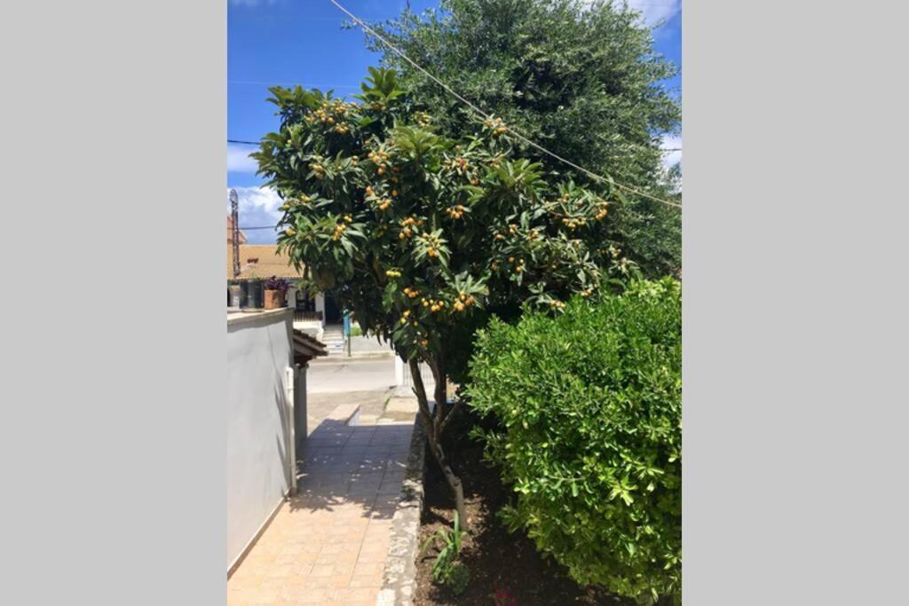 Estia House Cozy-comfortable Apartment Benitses (Corfu)